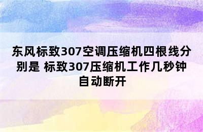 东风标致307空调压缩机四根线分别是 标致307压缩机工作几秒钟自动断开